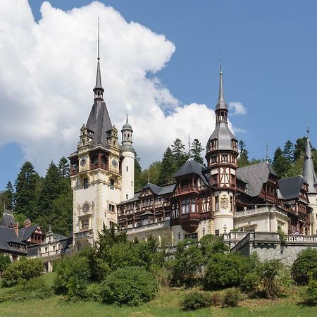 Apartament Mont Blanc Sinaia Dış mekan fotoğraf